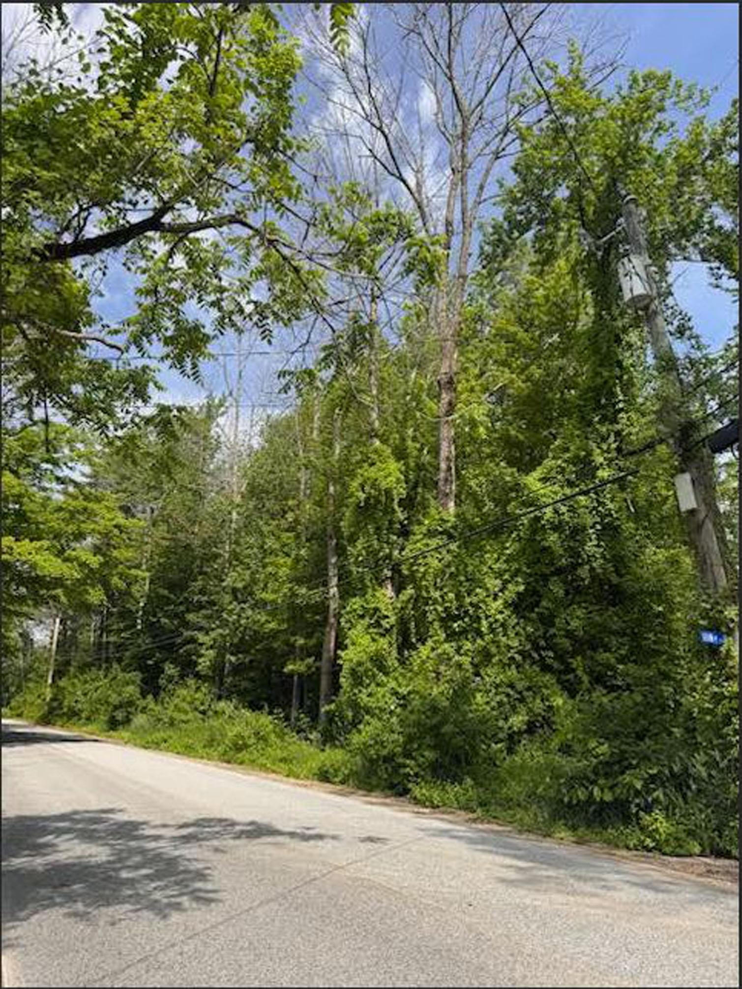 5 Brian Road Ossipee, NH 03864 - Photo 4 of 4