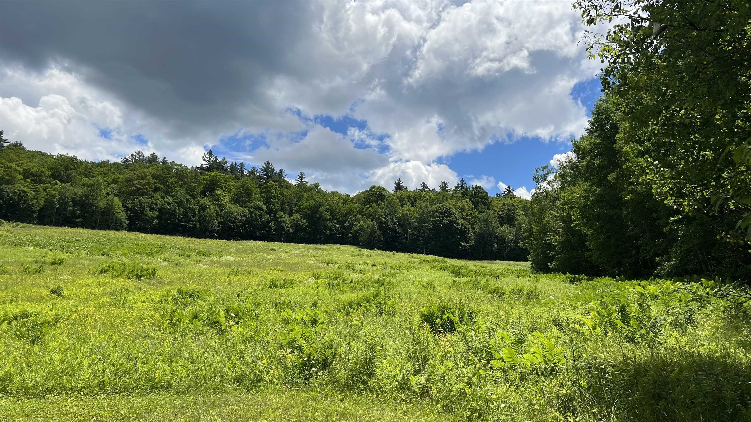412 Hall Ranch Road Grafton, VT 05146 - Photo 42 of 48
