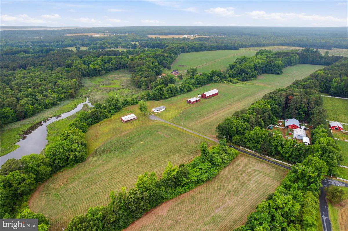 38125 Louis Thomas Road Avenue, MD 20609 - Photo 59 of 73 AERIAL VIEW OF LAND