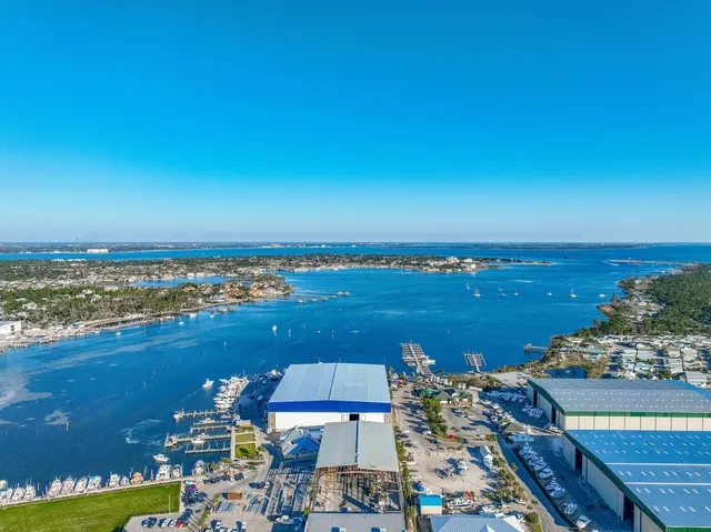 a view of a palm plant from a palm tree