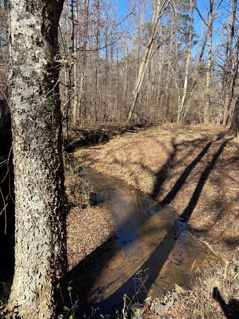 0 Carl Mathis Road Talbotton, GA 31827 - Photo 11 of 14 a view of a yard with wooden fence