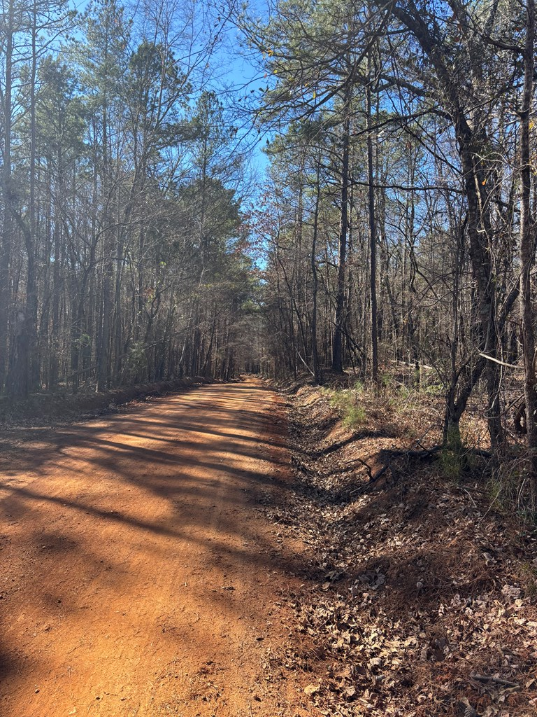 0 Carl Mathis Road Talbotton, GA 31827 - Photo 12 of 14 a view of basketball court