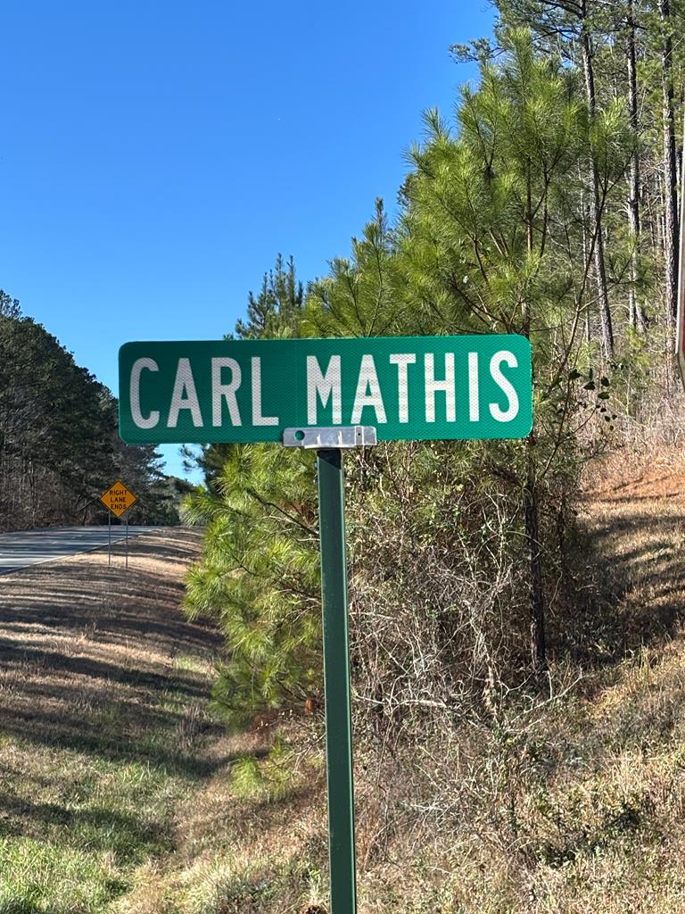 0 Carl Mathis Road Talbotton, GA 31827 - Photo 13 of 14 a view of a house with a yard