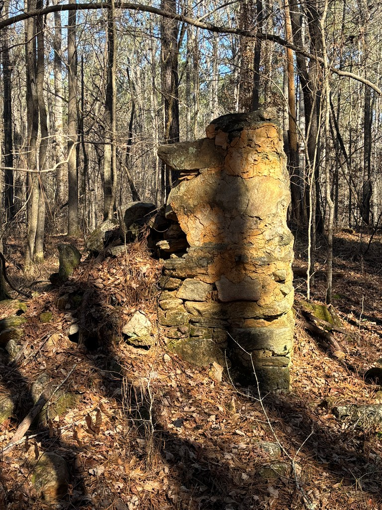 0 Carl Mathis Road Talbotton, GA 31827 - Photo 4 of 14 a view of open space with a fountain