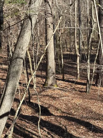 a backyard of a house