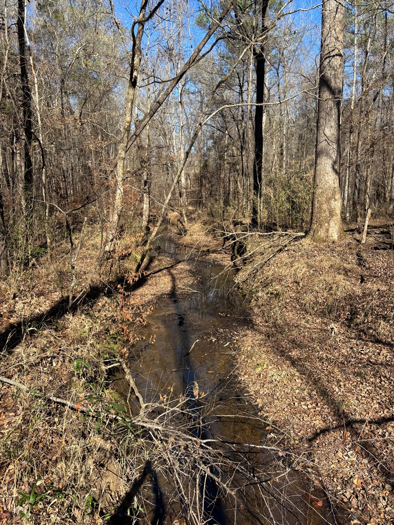 0 Carl Mathis Road Talbotton, GA 31827 - Photo 8 of 14 a backyard of a house