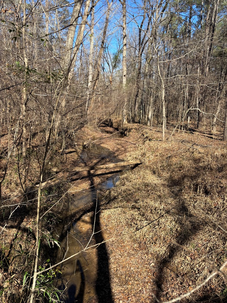 0 Carl Mathis Road Talbotton, GA 31827 - Photo 10 of 14 a view of covered with green space