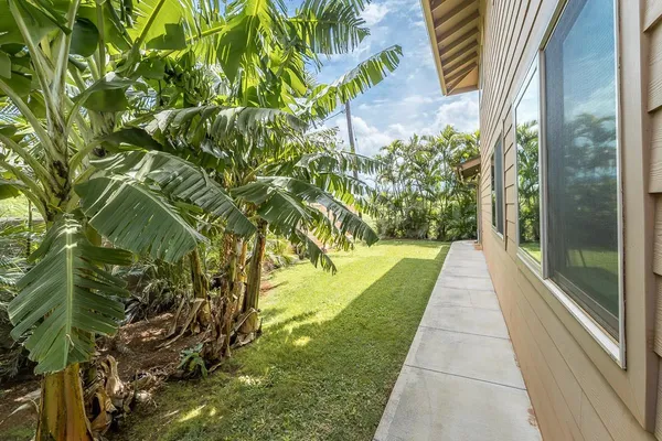 a view of a yard with plants