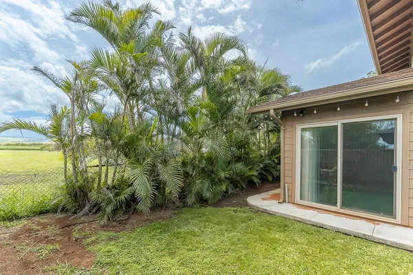 a view of a backyard with plants and large trees