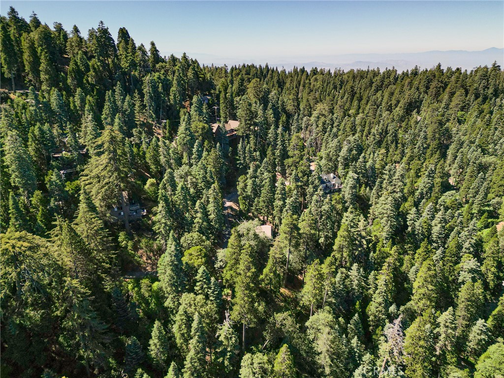 746 Blue Ridge Drive Skyforest, CA 92385 - Photo 5 of 18 Drone photo looking back at the hillside the parcel is on. Its just below the roof in the center of the screen.