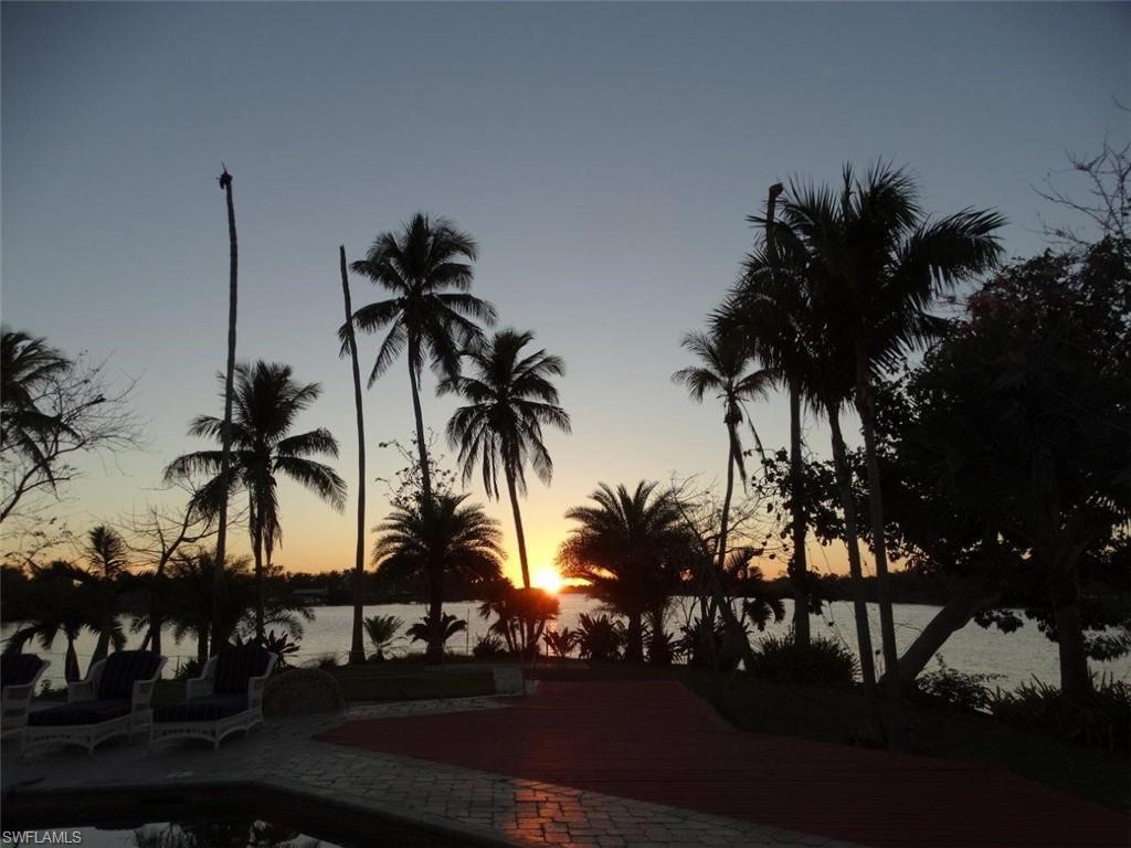 14524 Riverside Drive Fort Myers, FL 33905 - Photo 7 of 23 a view of a palm tree with palm trees