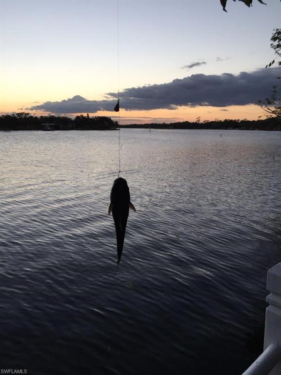 14524 Riverside Drive Fort Myers, FL 33905 - Photo 9 of 23 a view of lake