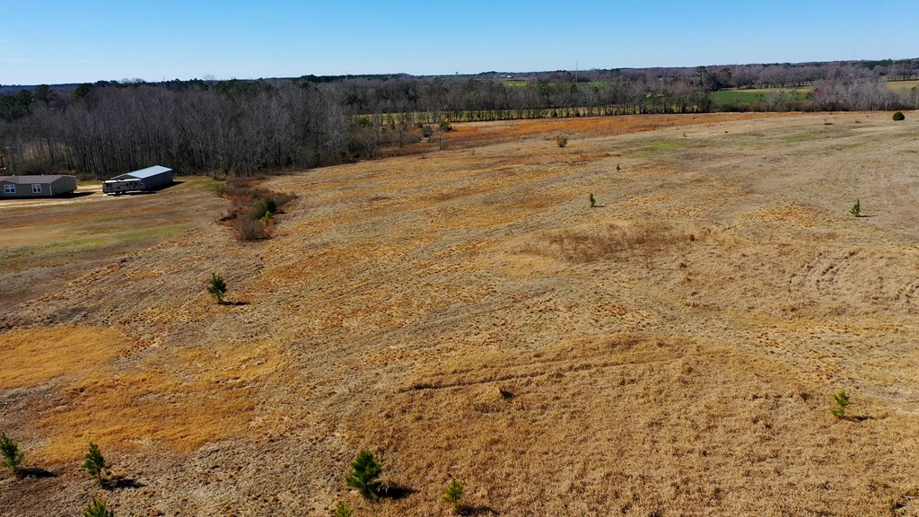 1132 Grant Road Slocomb, AL 36375 - Photo 12 of 14
