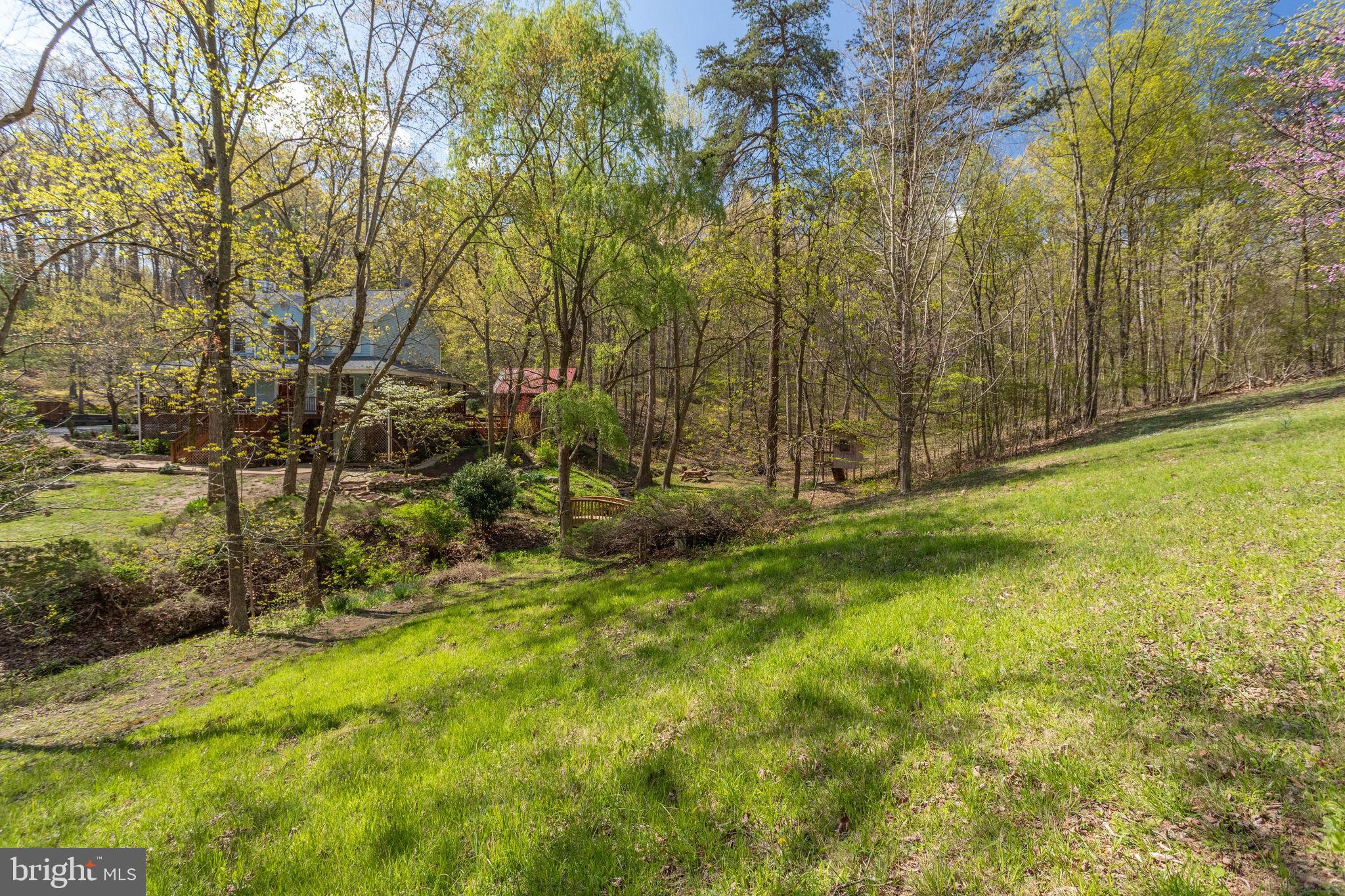 2686 Panhandle Road Front Royal, VA 22630 - Photo 17 of 84 Gallery Image 17