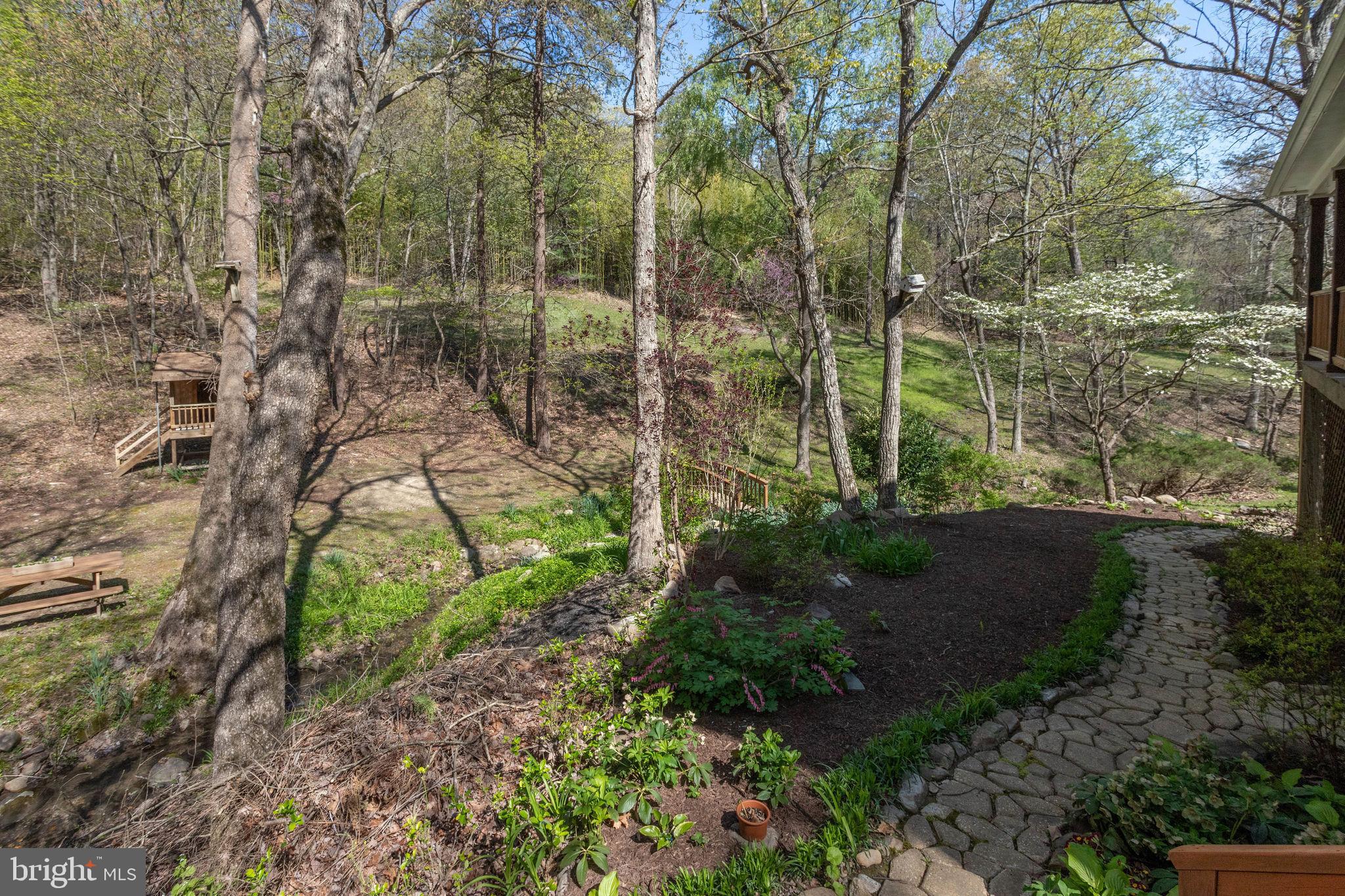 2686 Panhandle Road Front Royal, VA 22630 - Photo 20 of 84 Gallery Image 20