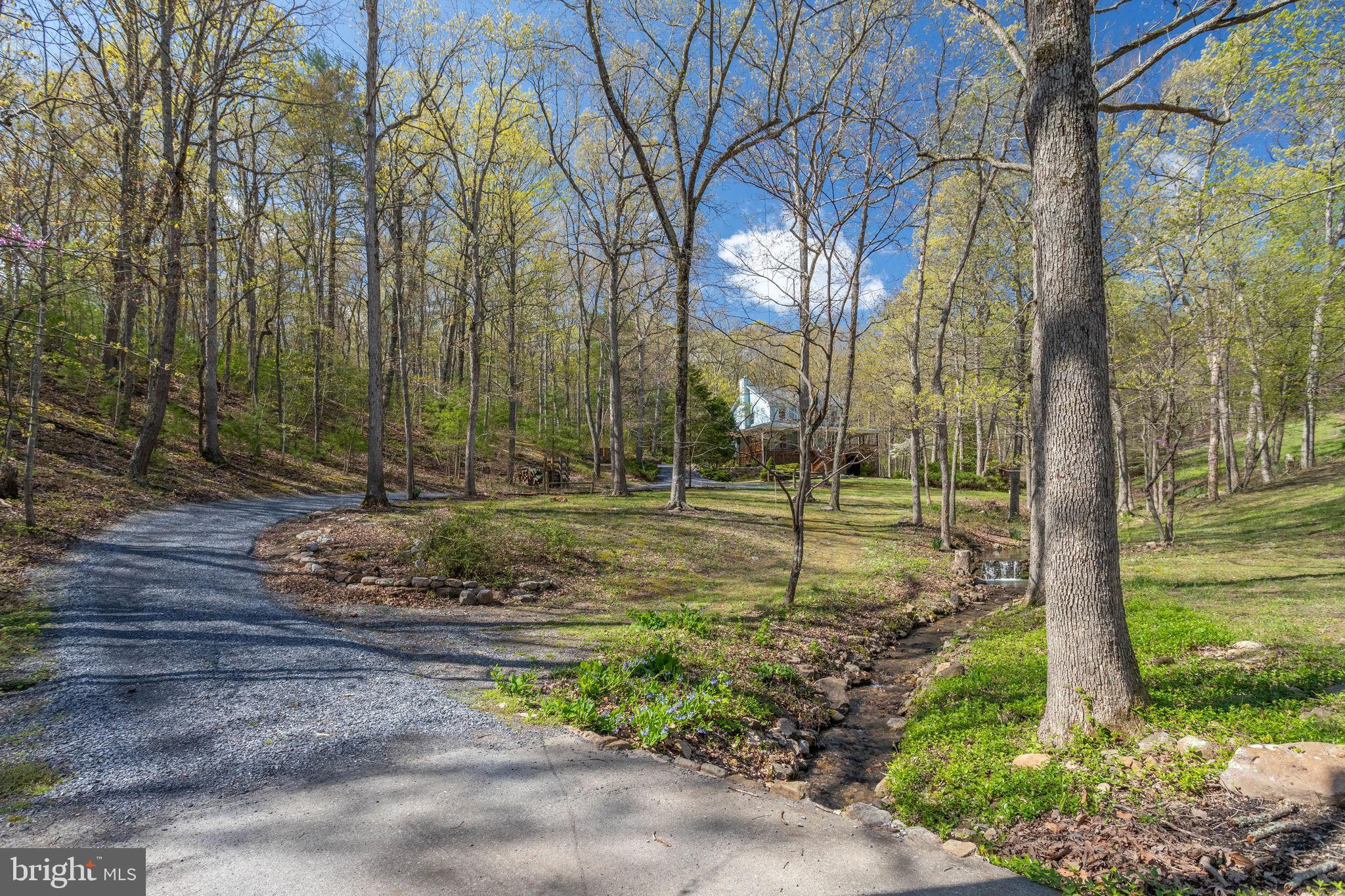 2686 Panhandle Road Front Royal, VA 22630 - Photo 4 of 84 Gallery Image 4