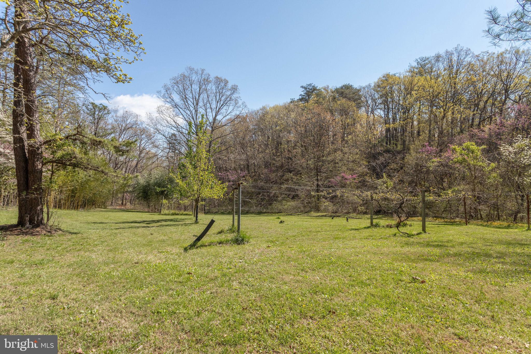 2686 Panhandle Road Front Royal, VA 22630 - Photo 6 of 84 Gallery Image 6