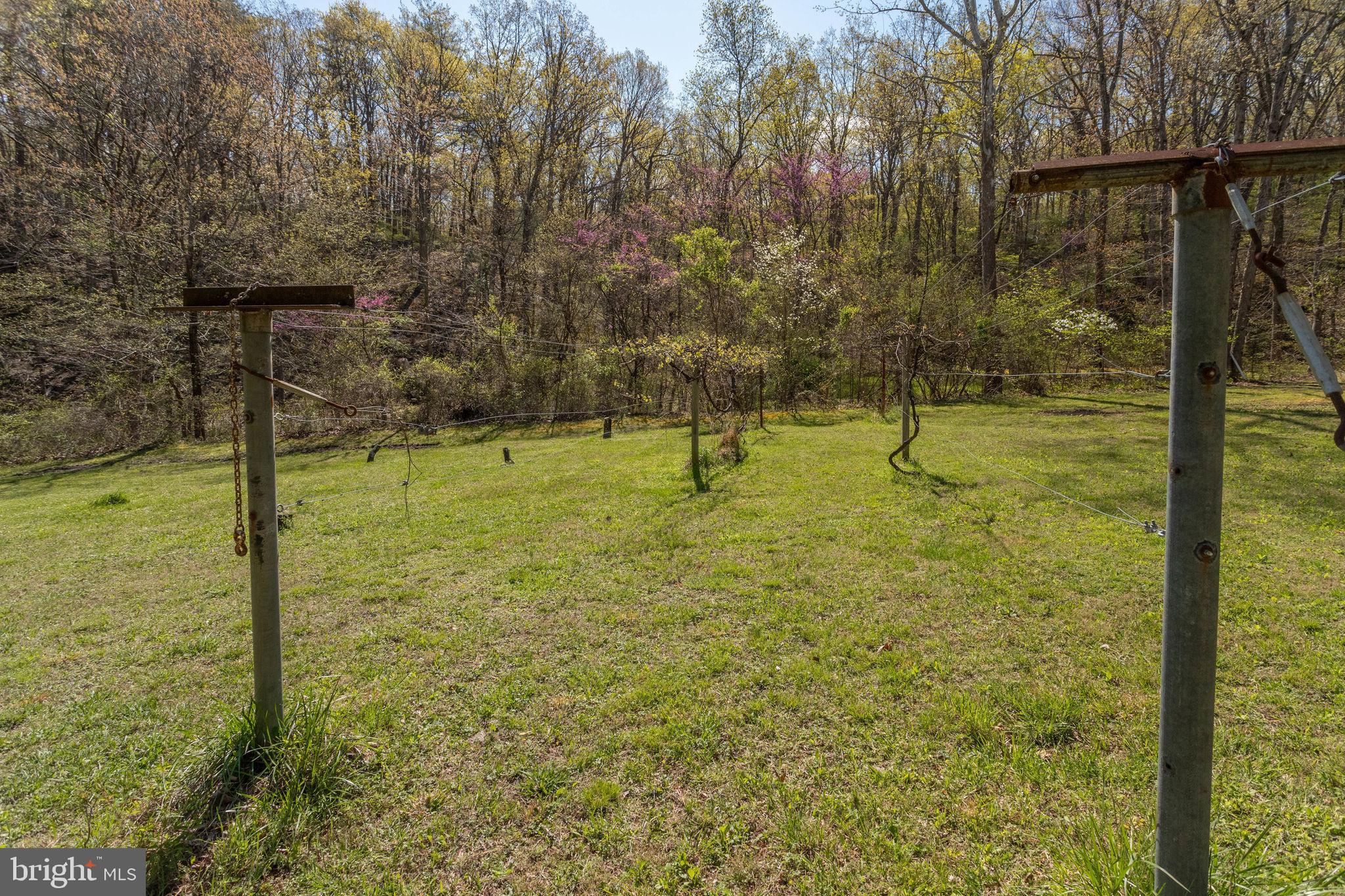 2686 Panhandle Road Front Royal, VA 22630 - Photo 7 of 84 Gallery Image 7