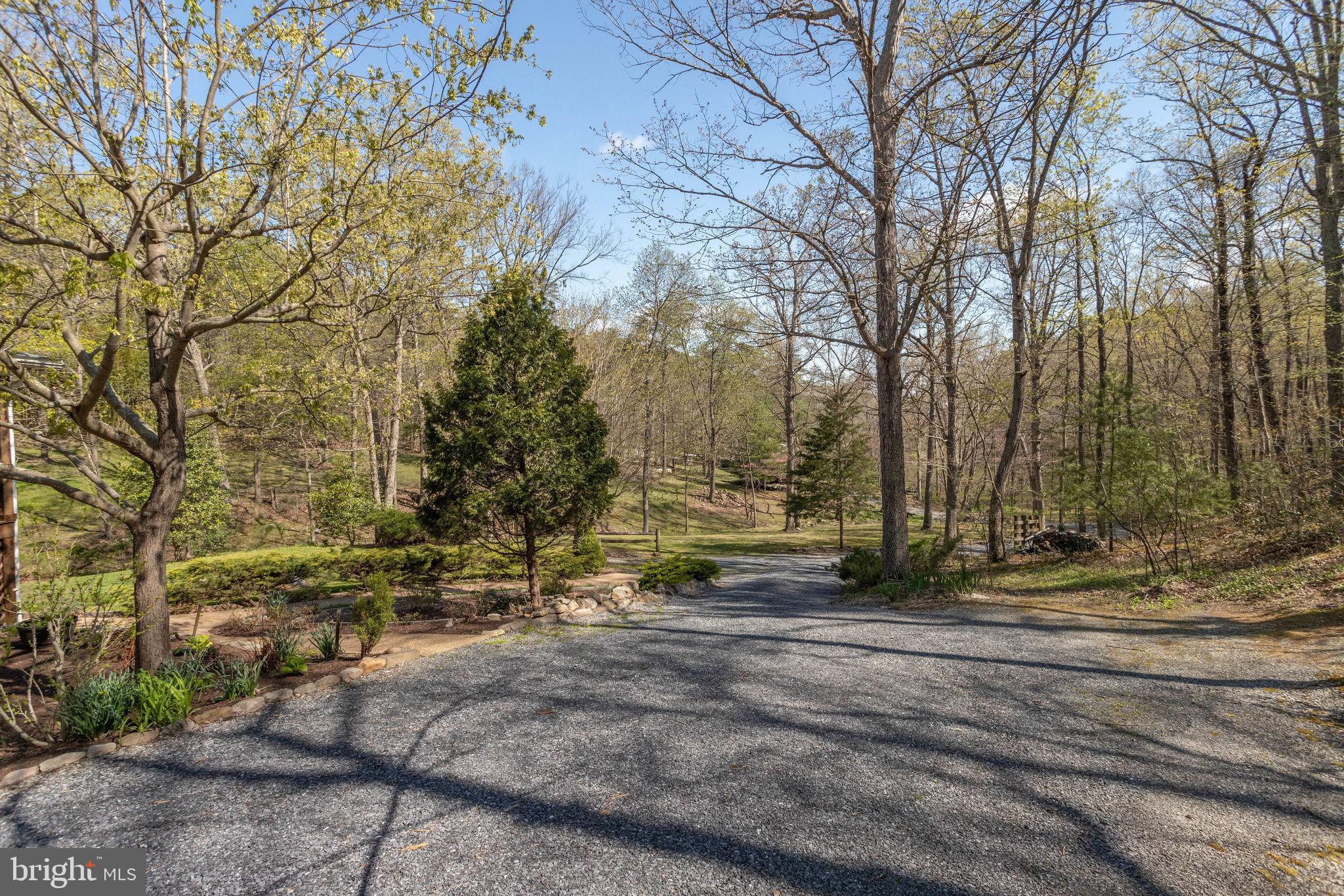 2686 Panhandle Road Front Royal, VA 22630 - Photo 8 of 84 Gallery Image 8