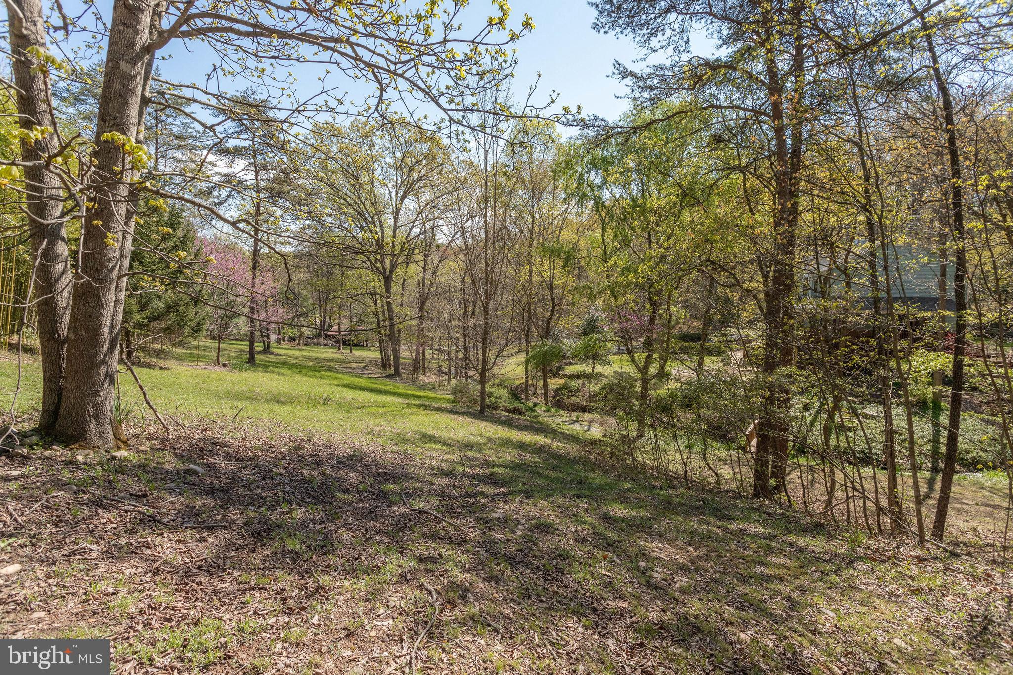 2686 Panhandle Road Front Royal, VA 22630 - Photo 80 of 84 Gallery Image 80