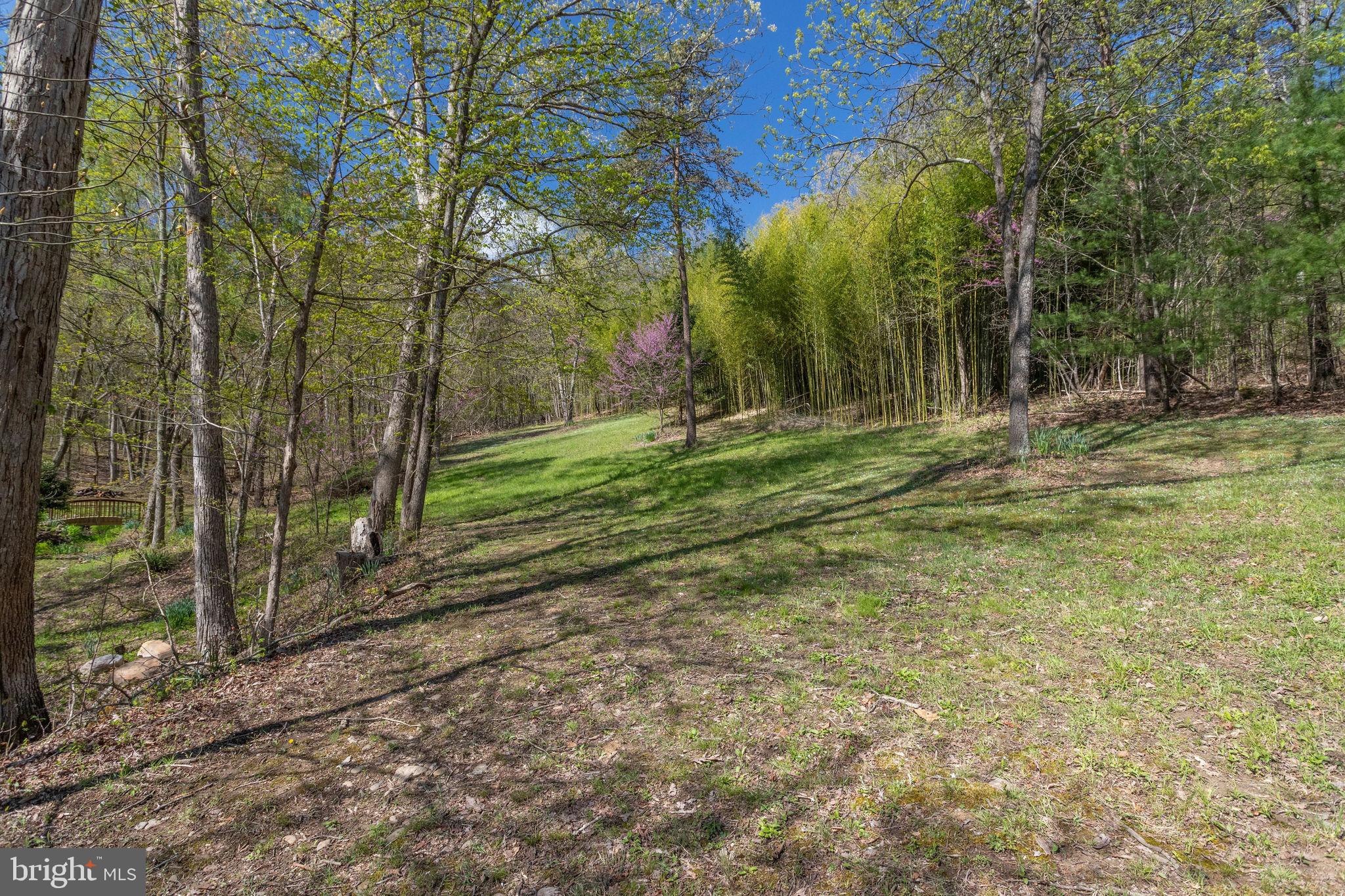 2686 Panhandle Road Front Royal, VA 22630 - Photo 81 of 84 Gallery Image 81