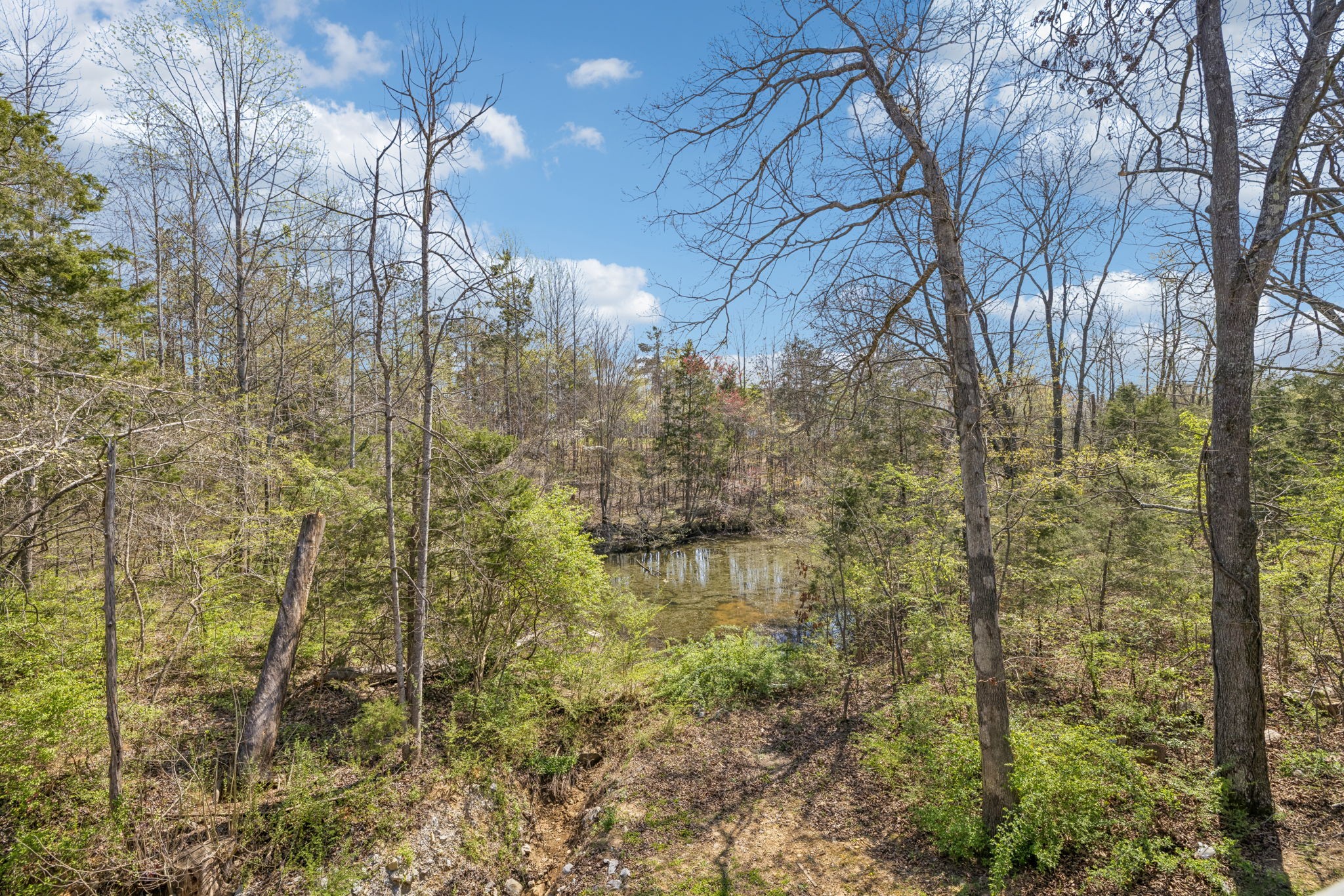 7503 Fernvale Springs Way Fairview, TN 37062 - Photo 55 of 60