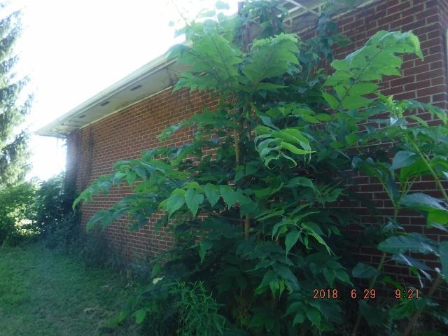 1546 Hanover Road Delaware, OH 43015 - Photo 5 of 31