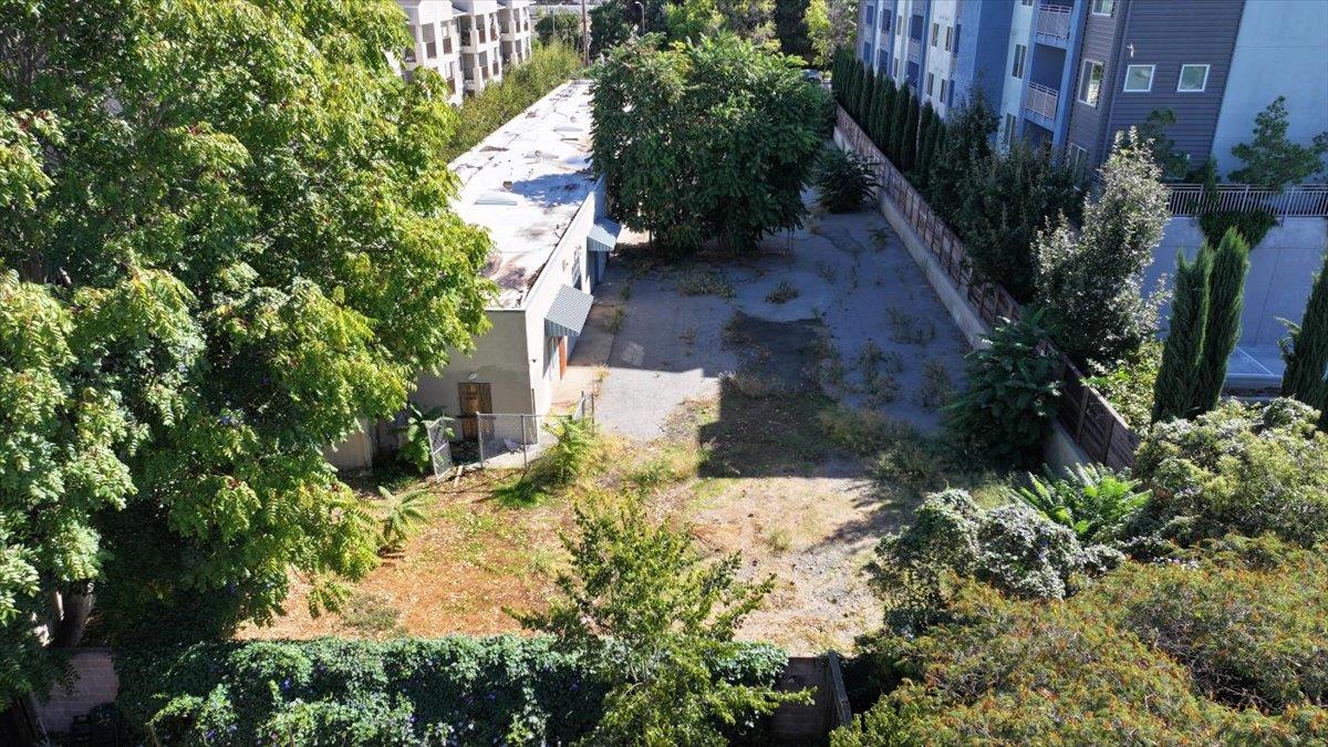 1747 Almaden Road San Jose, CA 95125 - Photo 13 of 28 a view of a yard with plants