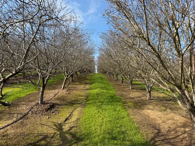 $5,134,536 | 16501 28 Mile Road, Oakdale, CA 95361