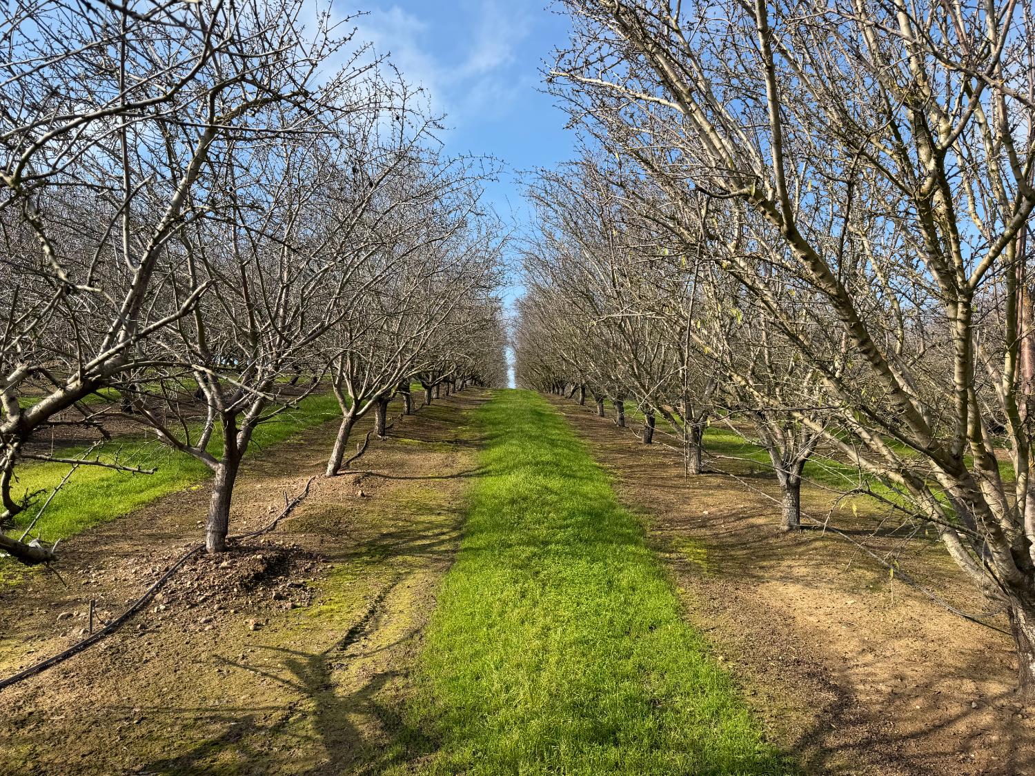 16501 28 Mile Road Oakdale, CA 95361 - Photo 1 of 8