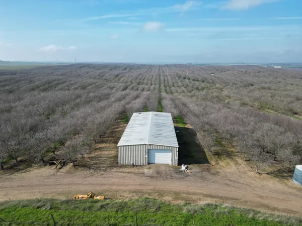 a view of a dry yard with wooden fence