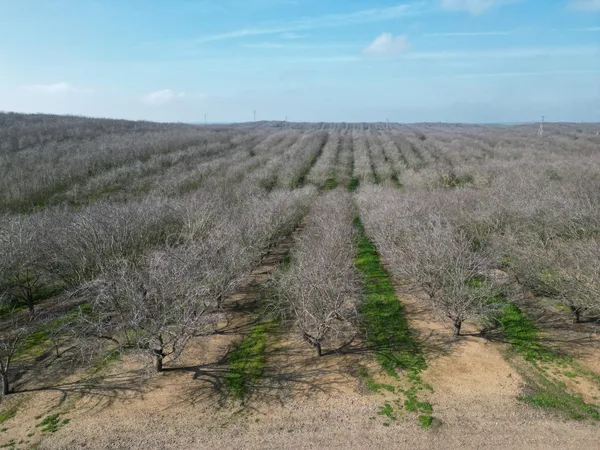 a view of a dry yard