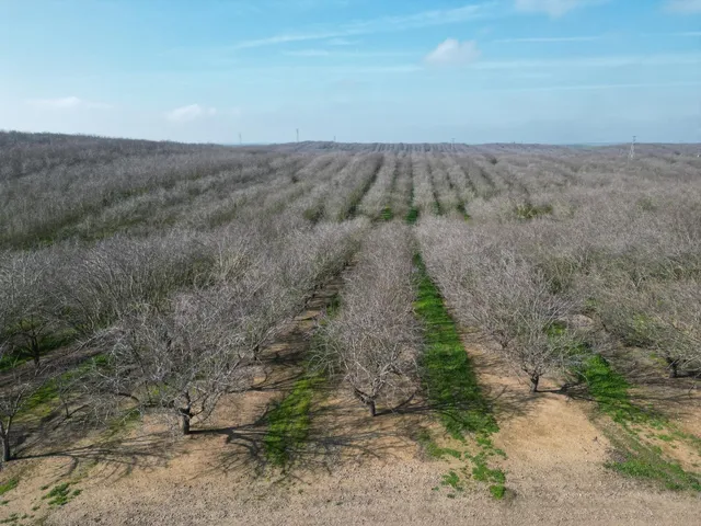 a view of a dry yard