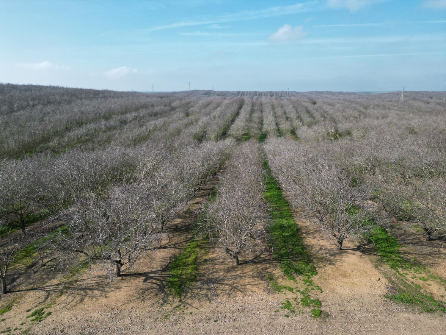 16501 28 Mile Road Oakdale, CA 95361 - Photo 3 of 8