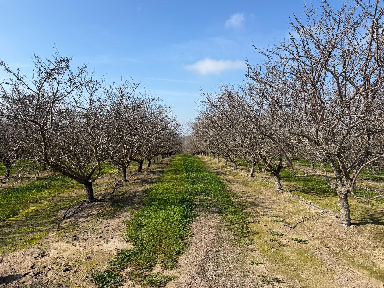 16501 28 Mile Road Oakdale, CA 95361 - Photo 4 of 8