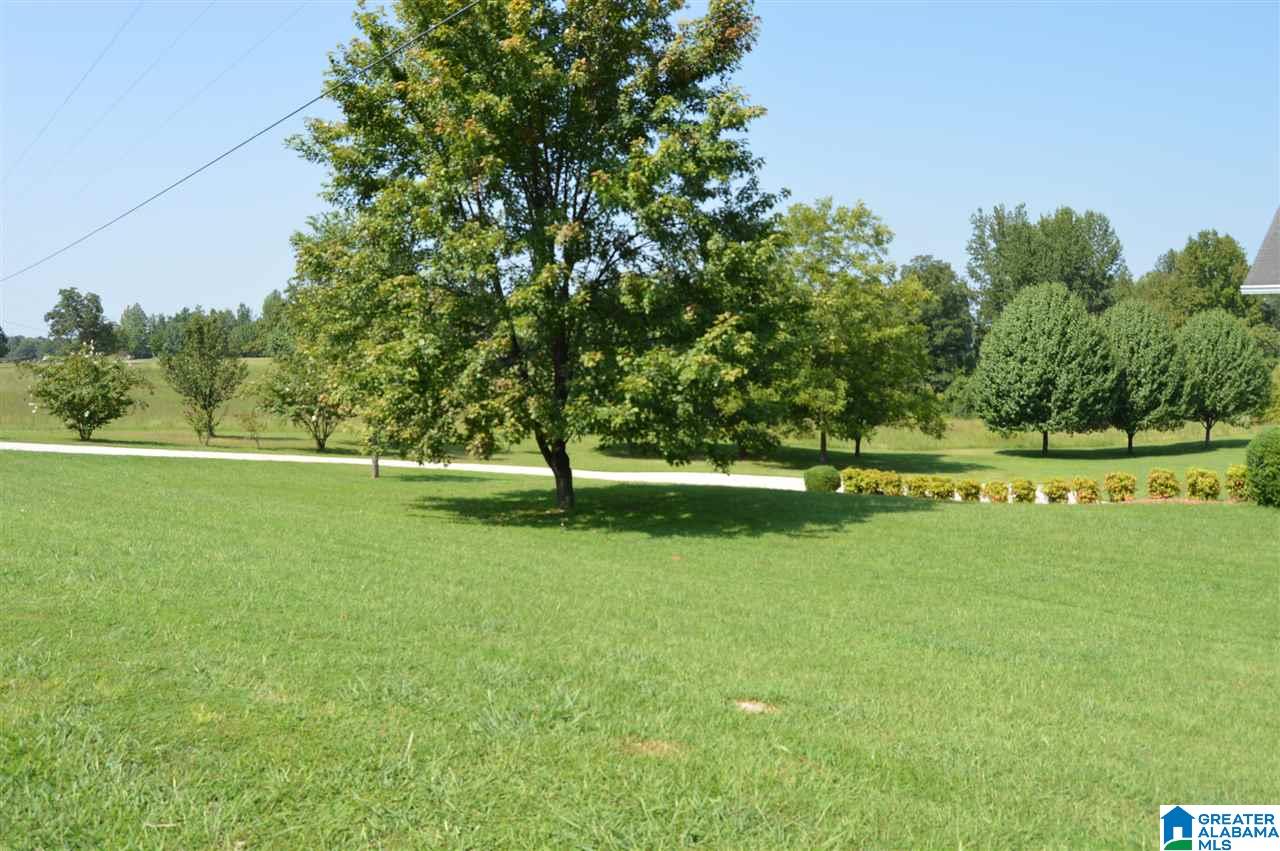 5230 Hammock Road Dora, AL 35062 - Photo 36 of 37