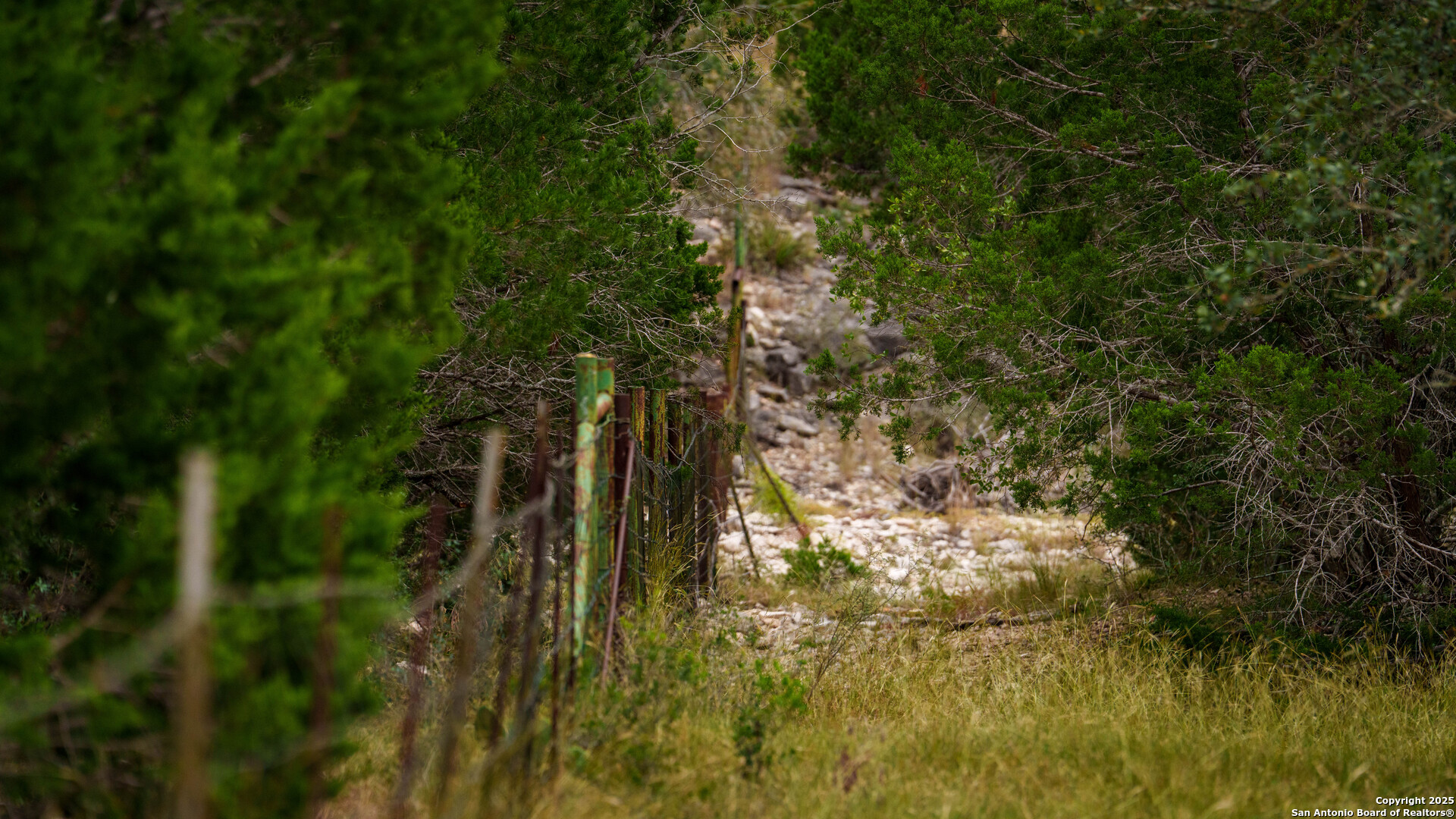 Tbd Tbd Rocksprings, TX 78880 - Photo 12 of 33 a view of forest