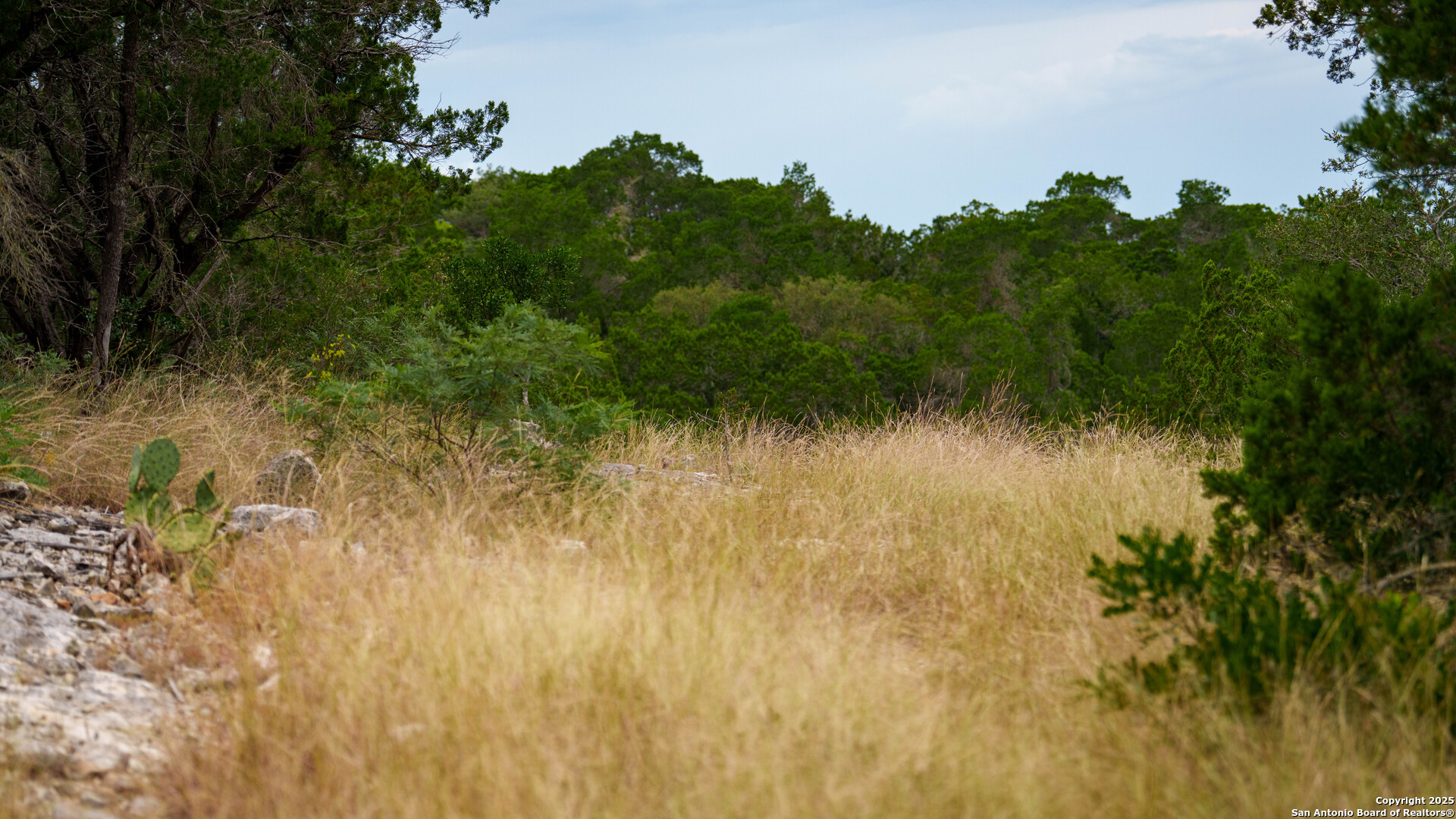 Tbd Tbd Rocksprings, TX 78880 - Photo 13 of 33 a view of a garden