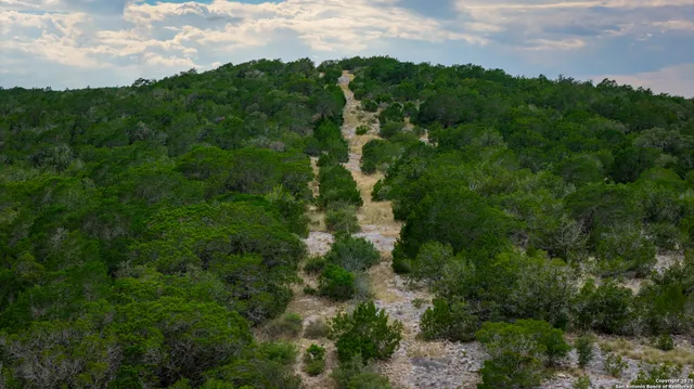 a view of a city and lush green forest