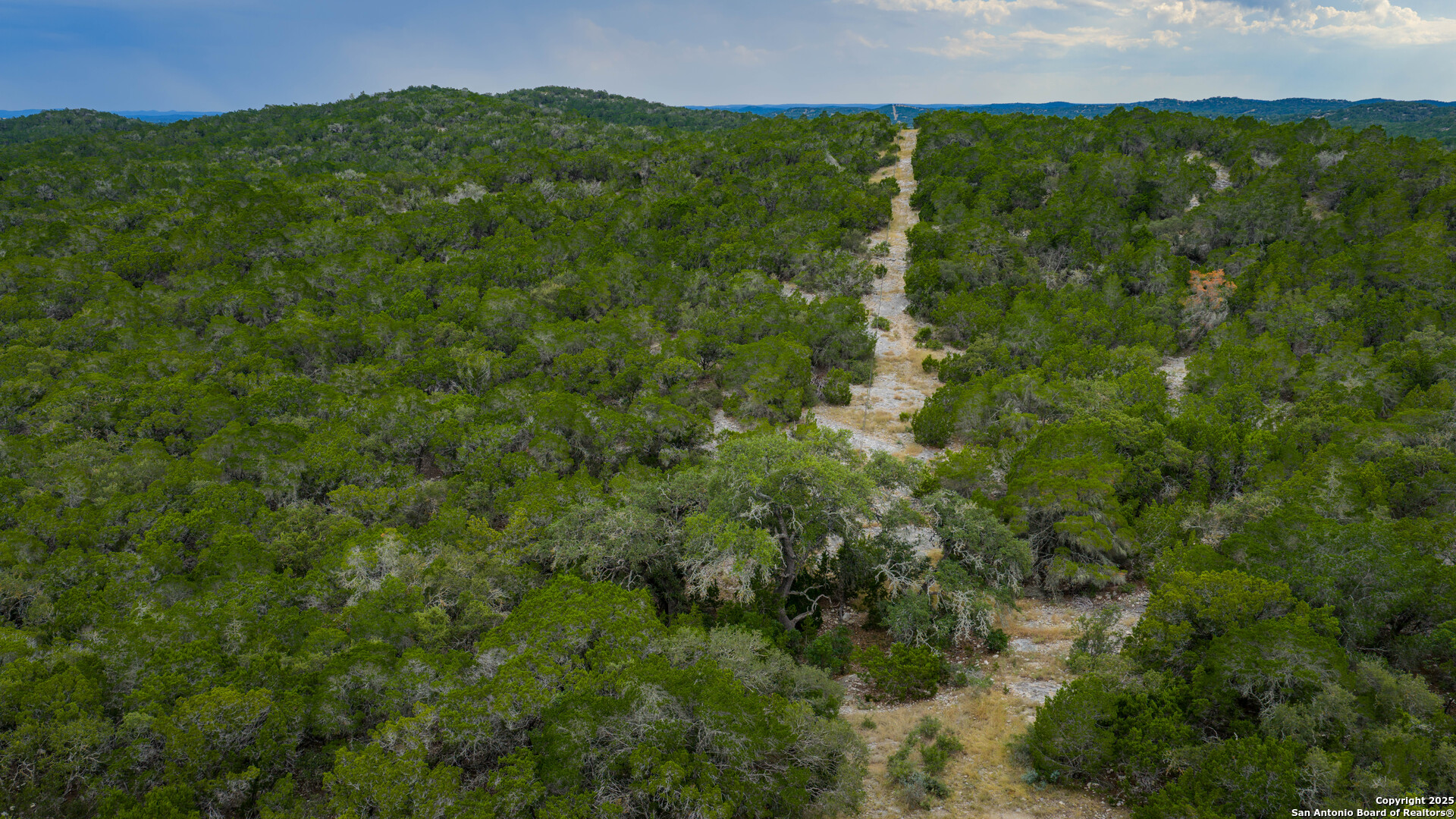 Tbd Tbd Rocksprings, TX 78880 - Photo 22 of 33 a view of a lush green forest with a mountain