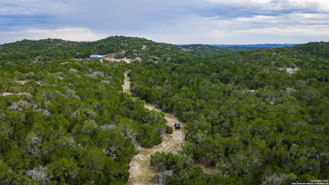 a view of a city with lush green forest