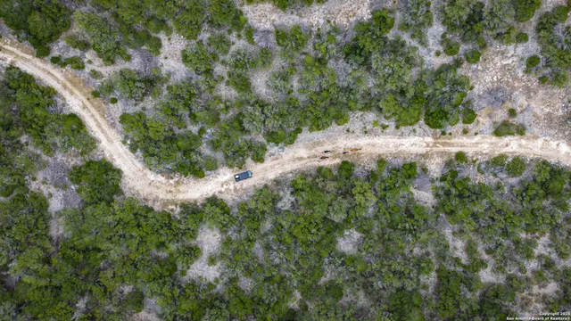 a view of a dry yard with lots of bushes