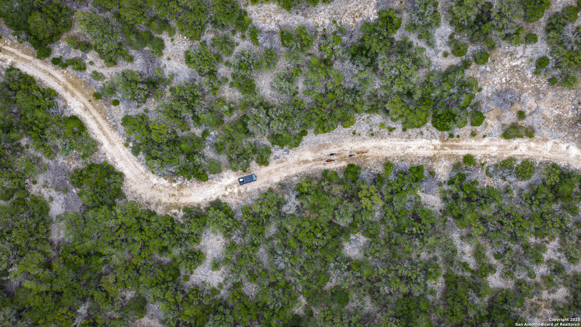Tbd Tbd Rocksprings, TX 78880 - Photo 24 of 33 a view of a dry yard with lots of bushes