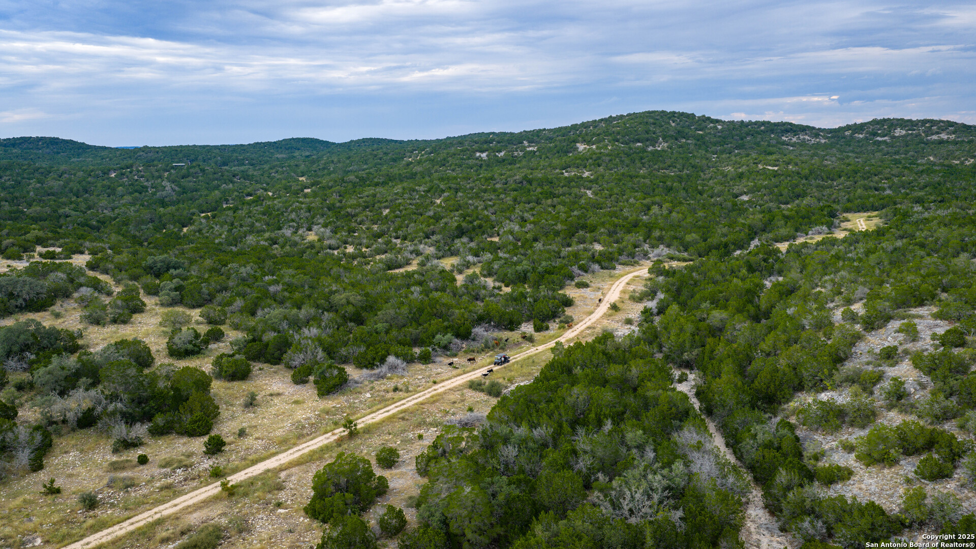 Tbd Tbd Rocksprings, TX 78880 - Photo 26 of 33 a view of a lush green field with lots of plants in it