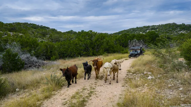 a view of a lake with houses in back