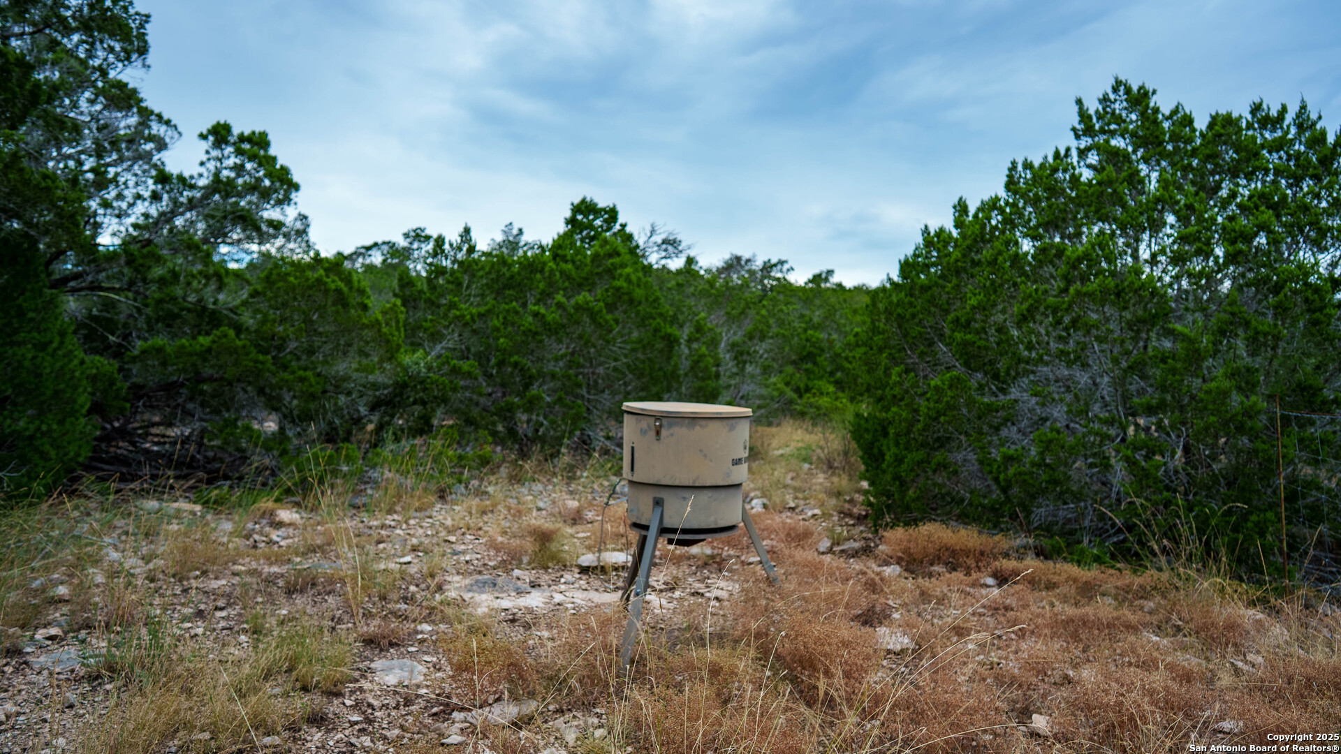 Tbd Tbd Rocksprings, TX 78880 - Photo 9 of 33 a view of a backyard