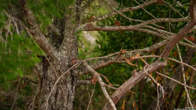 a view of an outdoor space