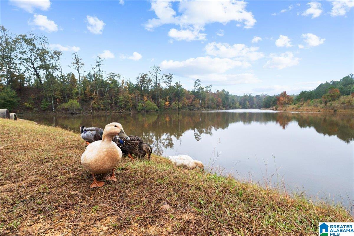 115 Blueberry Cove Springville, AL 35146 - Photo 31 of 32 Gallery Image 31