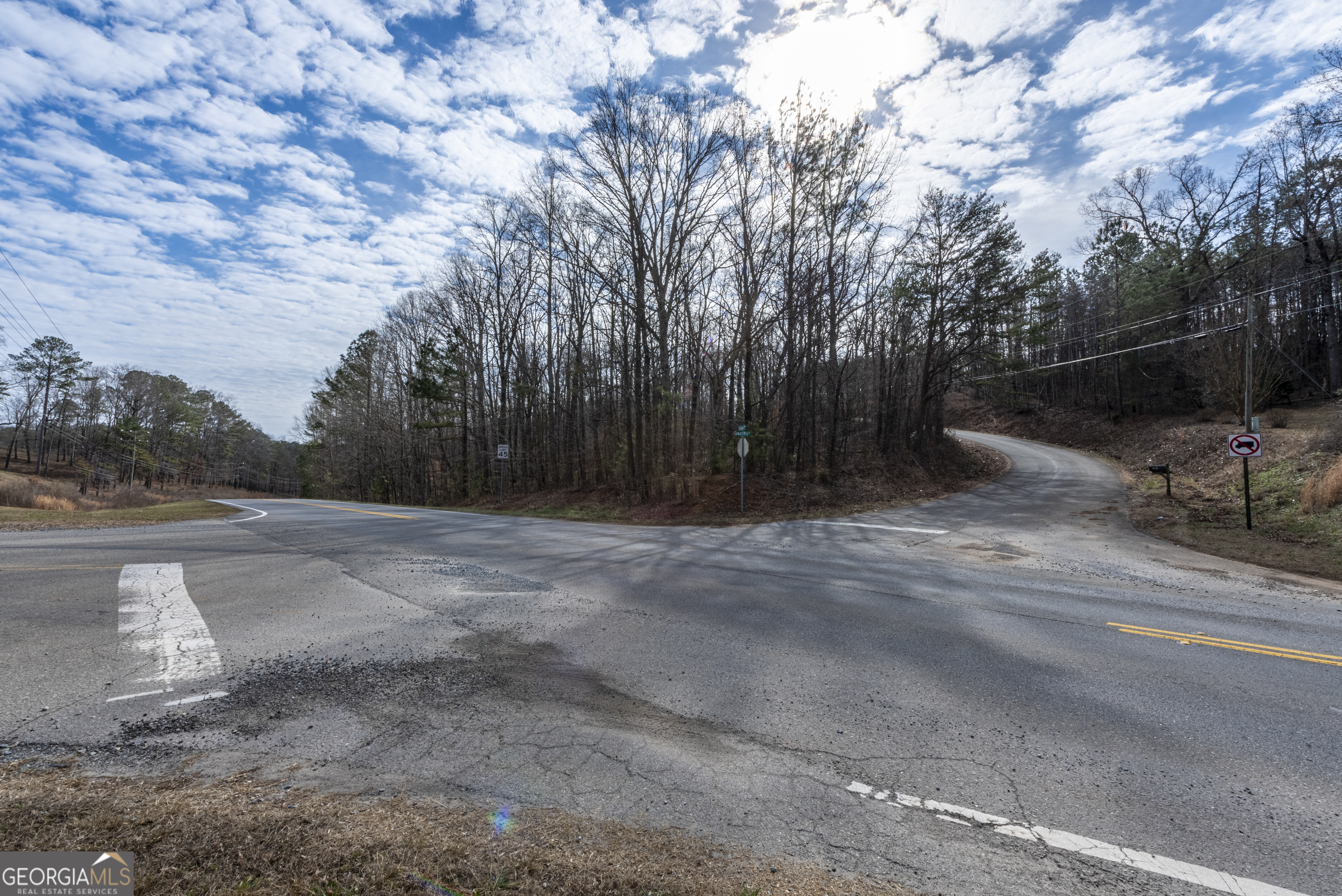 0 Cowart Mountain Tract 1 Road Jasper, GA 30143 - Photo 5 of 13