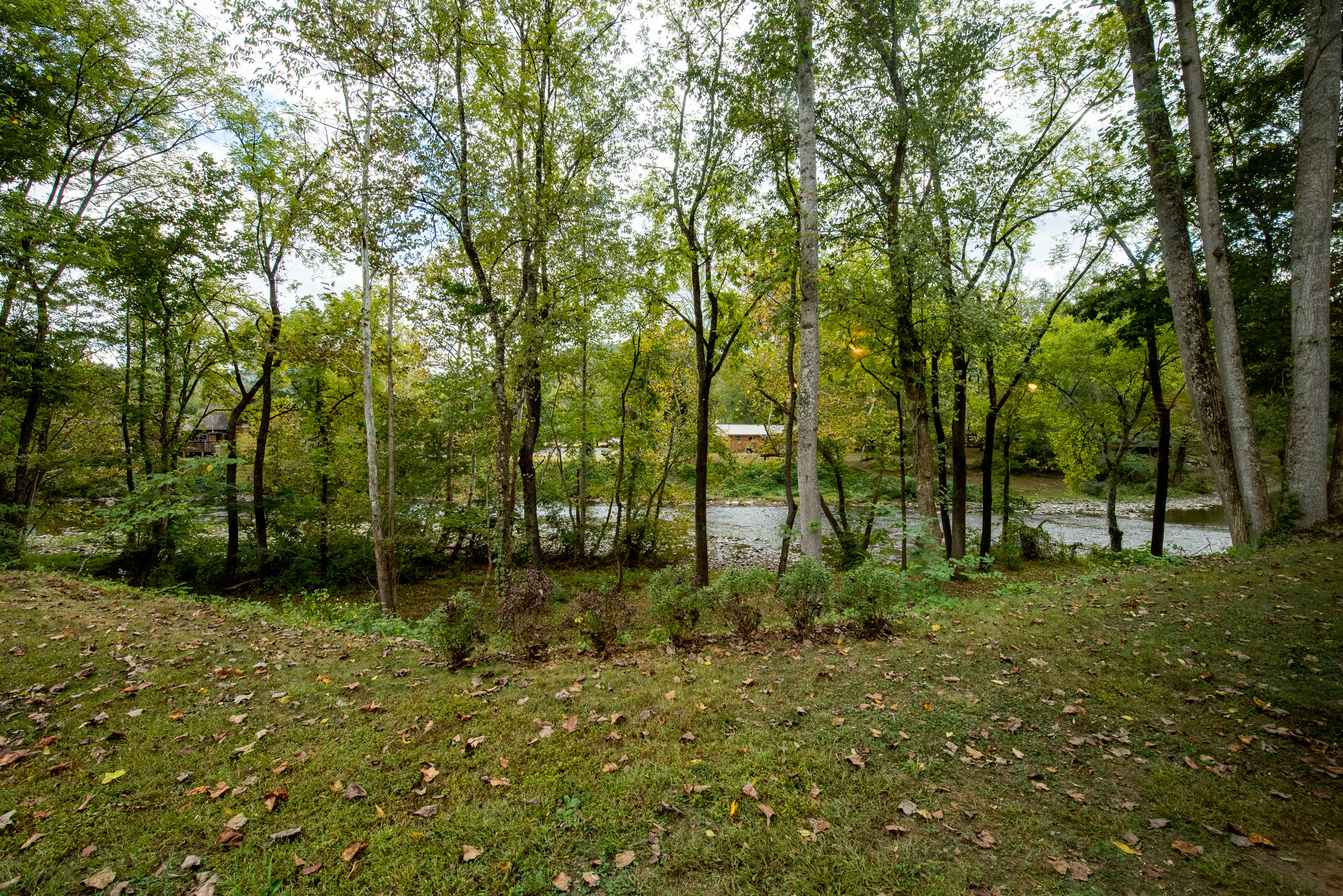 7802 Carnes Road Townsend, TN 37882 - Photo 32 of 36 _DSC3978